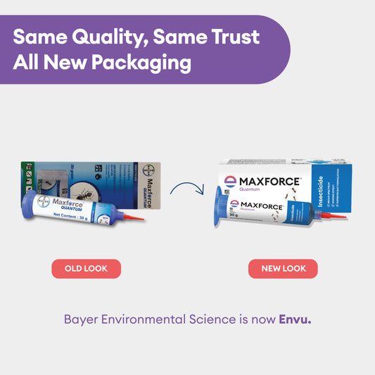Comparison of Maxforce Quantum insecticide packaging with old and new designs on a white background.