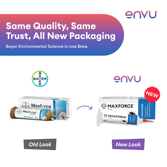 Comparison of Maxforce packaging with old and new designs, featuring Envu branding.
