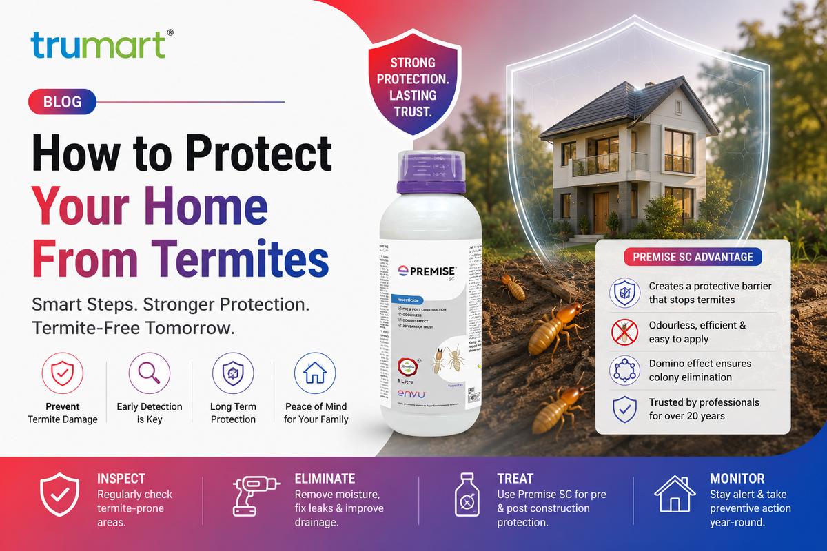 How to Protect Your Home From Termites