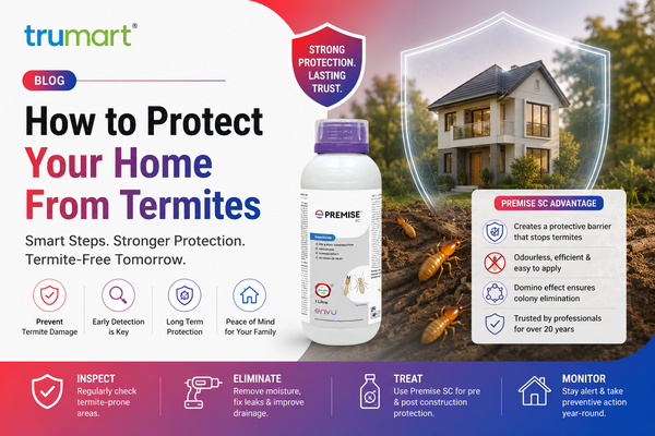 How to protect your home from termites