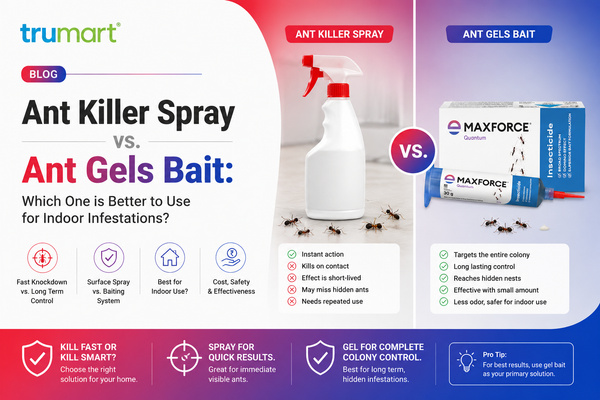Ant Killer Spray vs. Ant Gels Bait: Which One is Better to Use for Indoor Infestations?