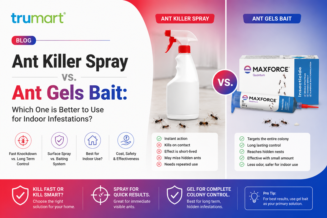 Ant Killer Spray vs. Ant Gels Bait: Which One is Better to Use for Indoor Infestations?