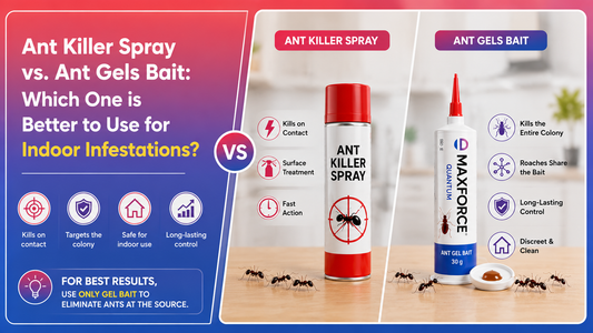 Ant Killer Spray vs. Ant Gels Bait: Which One is Better to Use for Indoor Infestations?