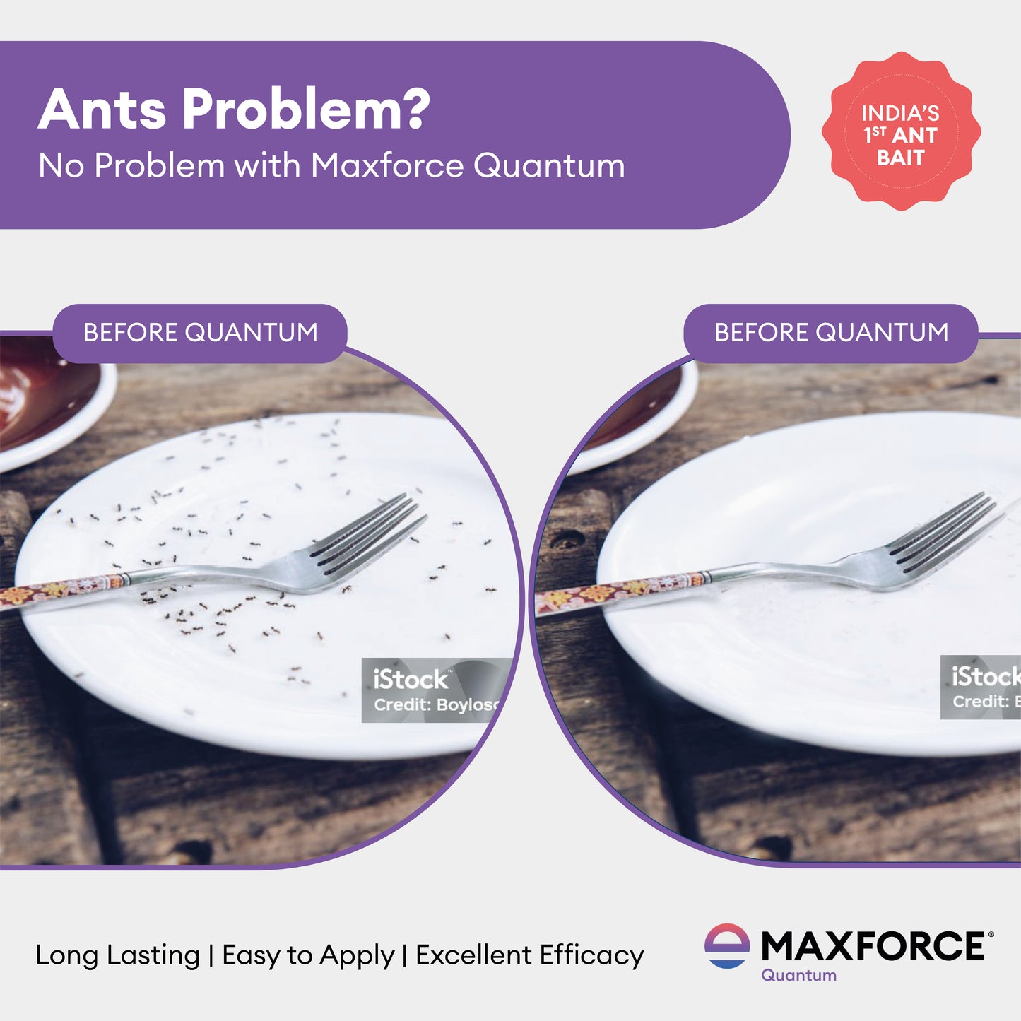 Envu Maxforce Quantum 30G