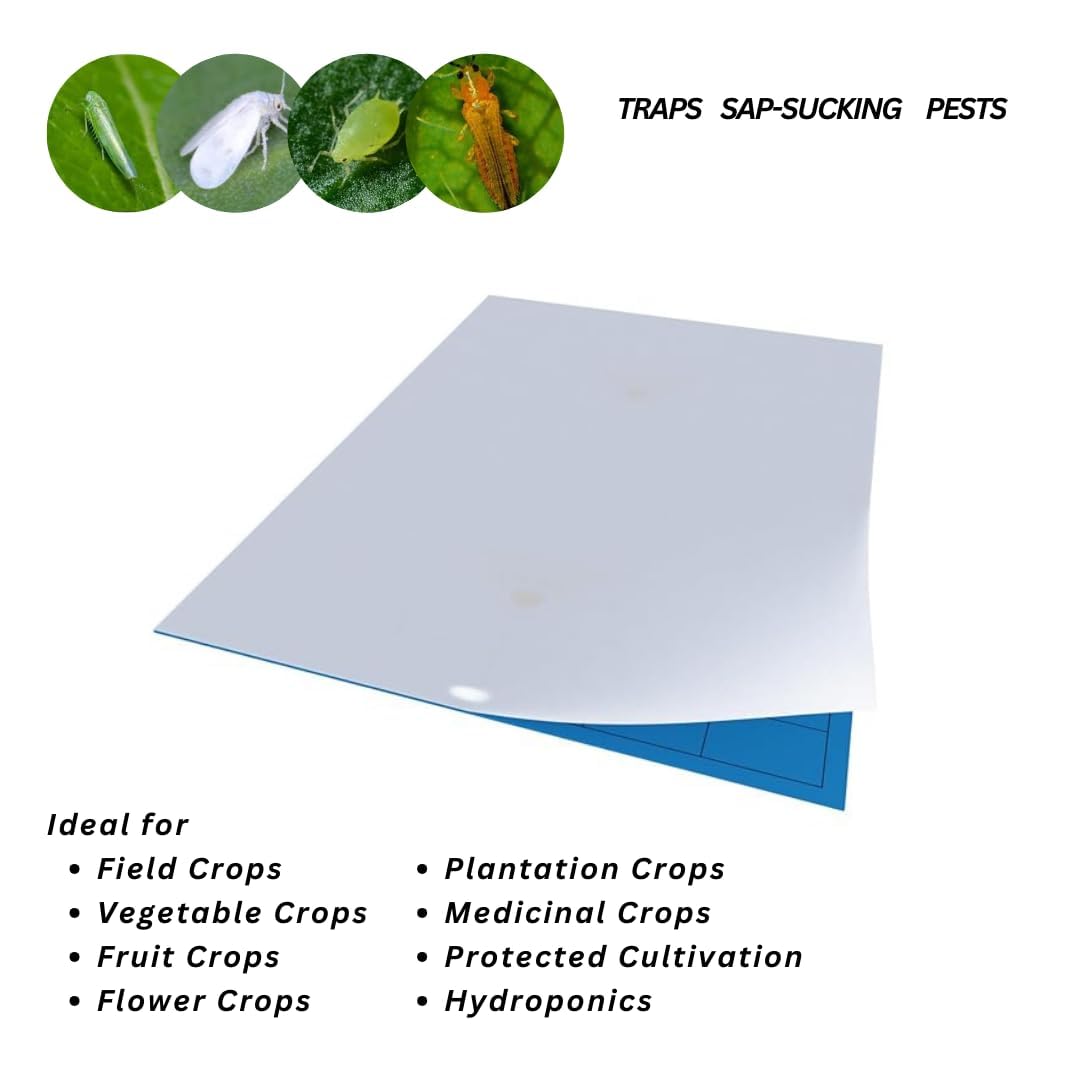 Gumtree Yellow Sticky Traps Pack of 20