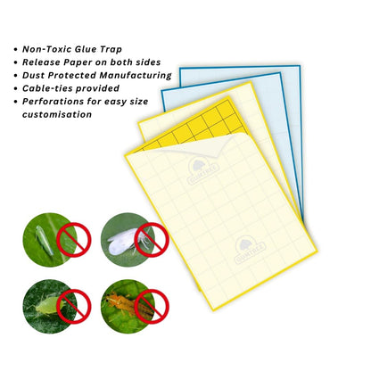 Gumtree Yellow Sticky Traps Mini Pack of 20