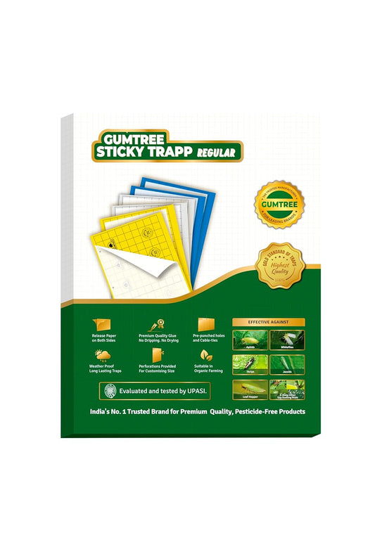 Gumtree White Sticky Traps Pack of 20