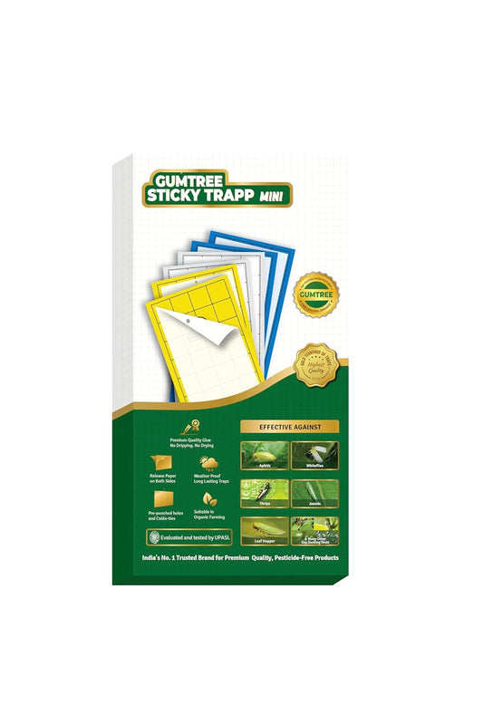 Gumtree White Sticky Traps Mini Pack of 20