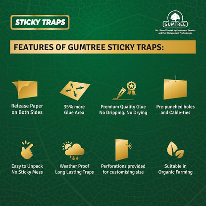 Gumtree White Sticky Traps Mini Pack of 20