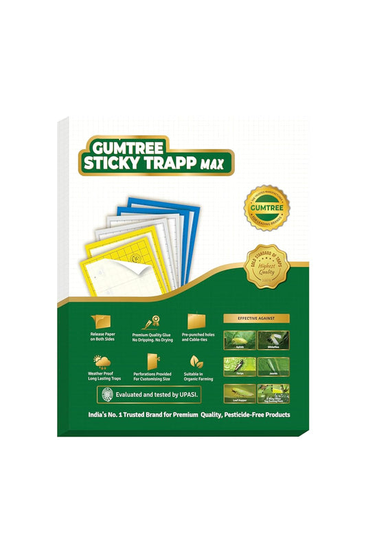 Gumtree White Sticky Traps Max Pack of 20