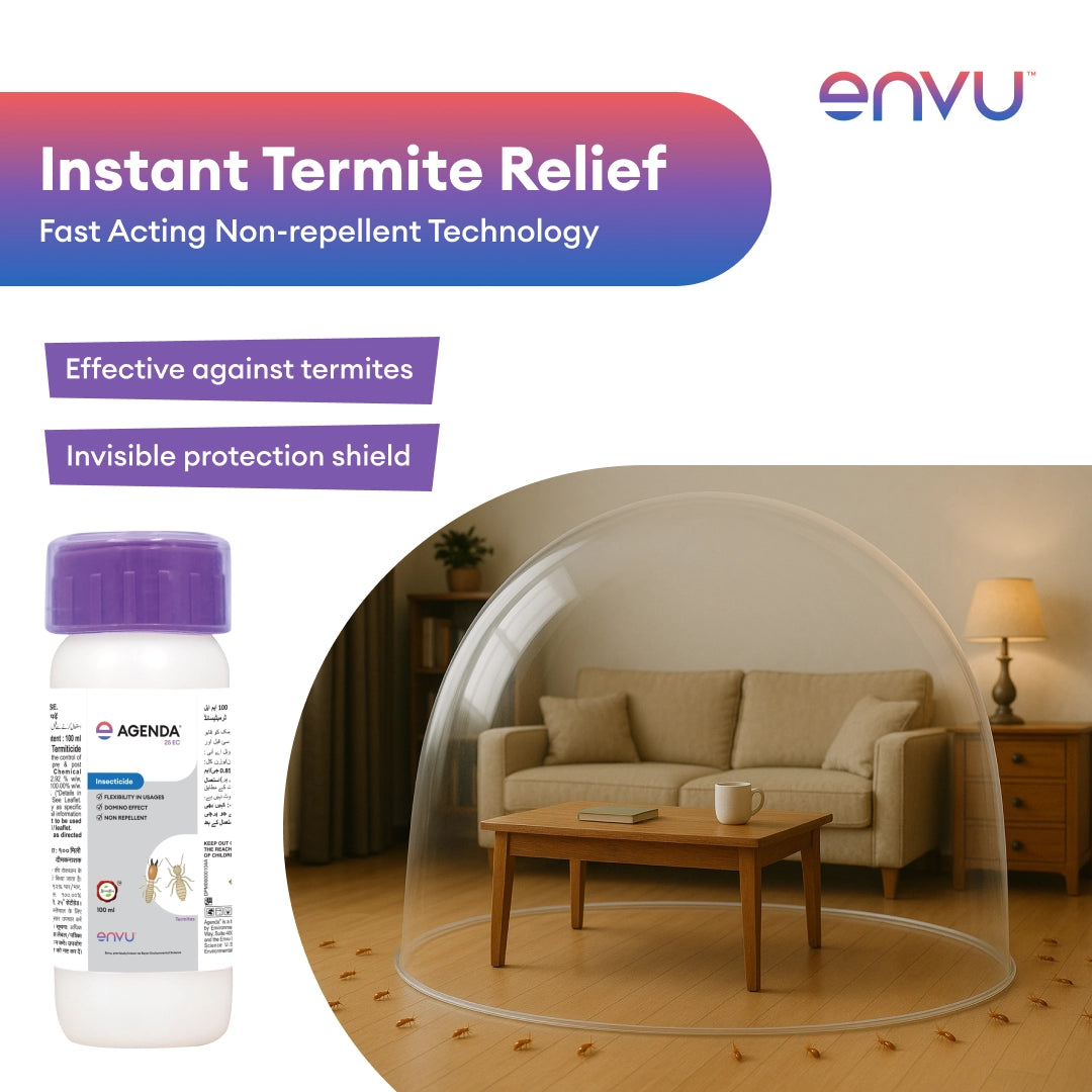 Agenda EC Termite Killer Liquid for Wood, Furniture & Home