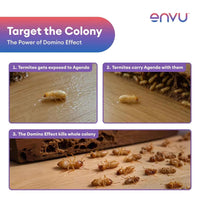 Envu Agenda EC Termite Killer Liquid for Wood, Furniture & Home
