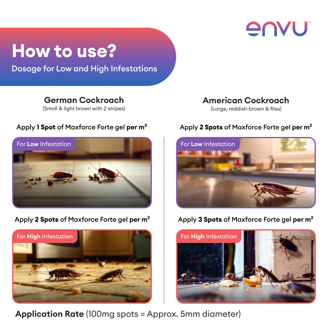 Envu Maxforce Forte 30gm