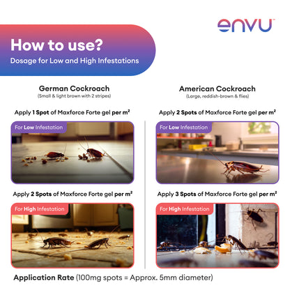 Envu Maxforce Forte 30gm