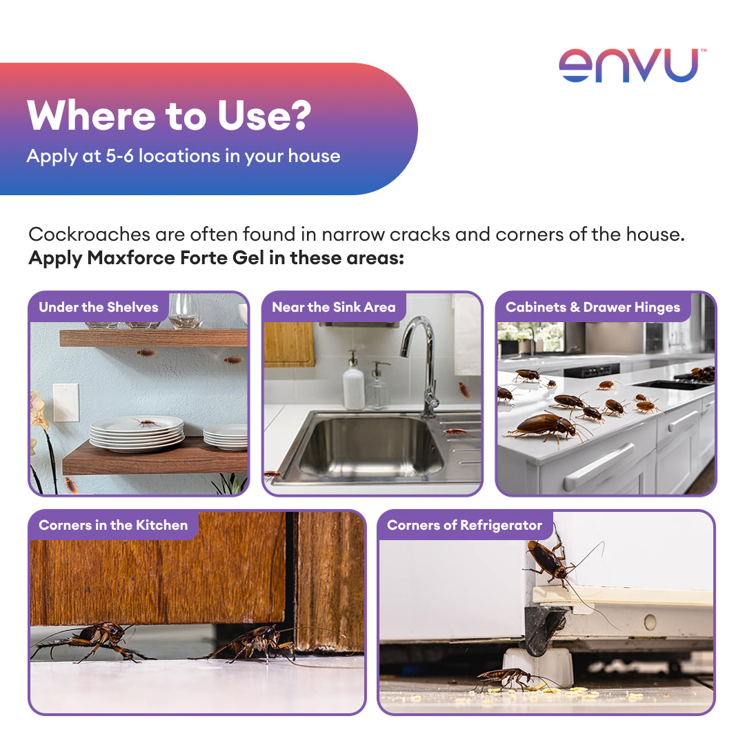 Envu Maxforce Forte 30gm
