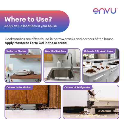 Envu Maxforce Forte 30gm