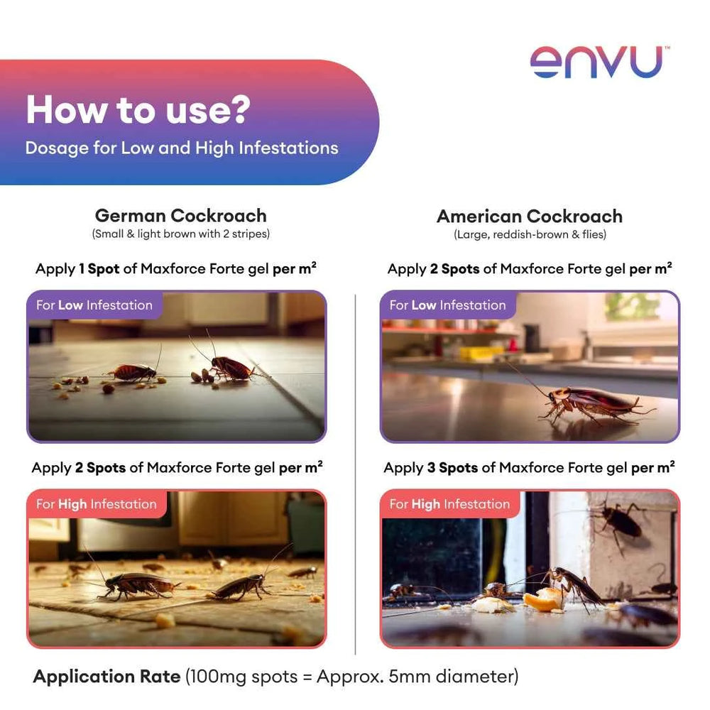 Envu Maxforce Forte Cockroach Killer Gel - 30g