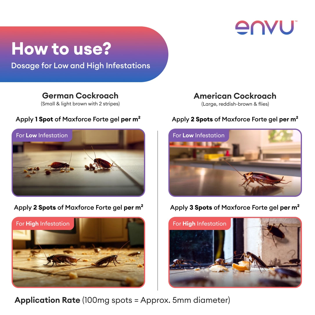 Envu Maxforce Forte Cockroach Killer Gel - 30g