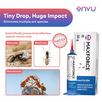 MAXFORCE insecticide packaging with images of ants and HACCP certification logo on a white background.
