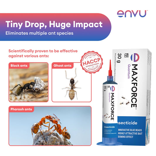 Envu Maxforce Quantum Ant Killer Gel  30g
