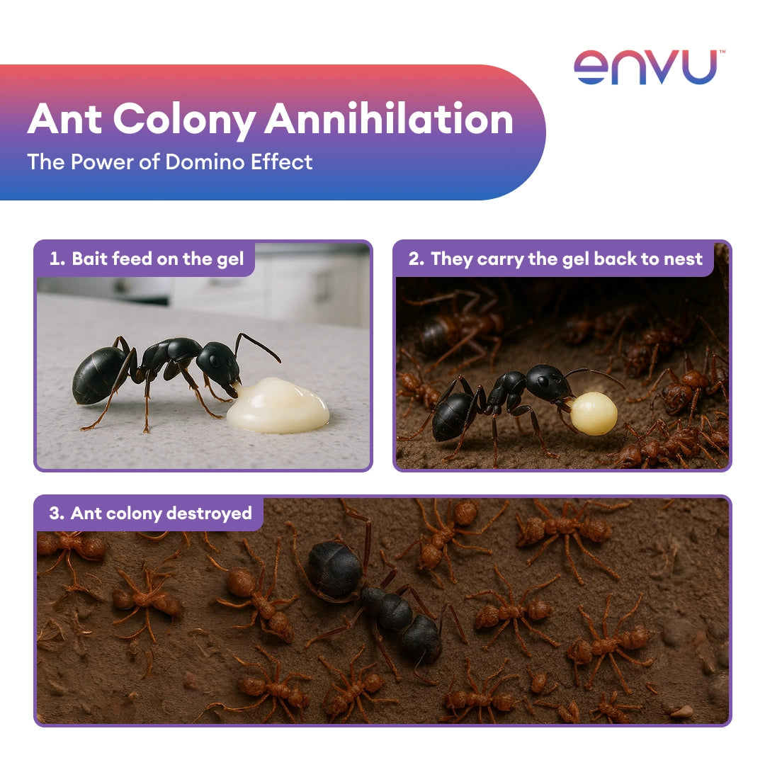 Envu Maxforce Quantum Ant Killer Gel  30g