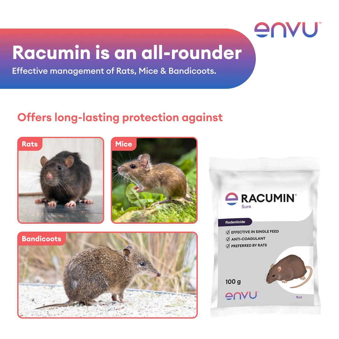 Racumin Sure Rodent Control Wax Blocks – 100g (Pack of 5)