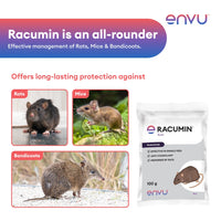 Promotional image of Racumin pest control product with images of rats, mice, and bandicoots, and the Envu brand logo.