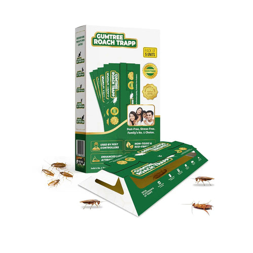 Gumtree Roach Trapp – Pack of 5